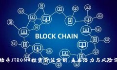波场币（TRON）投资价值分析：未来潜力与风险评