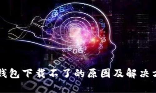 区块链钱包下载不了的原因及解决方案详解