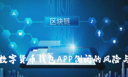 如何应对数字货币钱包APP倒闭的风险与解决方案