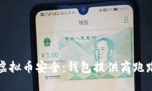 如何保障您的虚拟币安全：钱包提供商跑路的风险与防范
