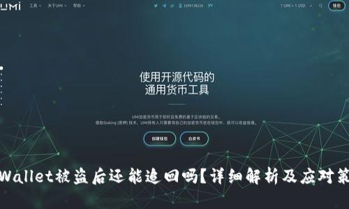 TPWallet被盗后还能追回吗？详细解析及应对策略