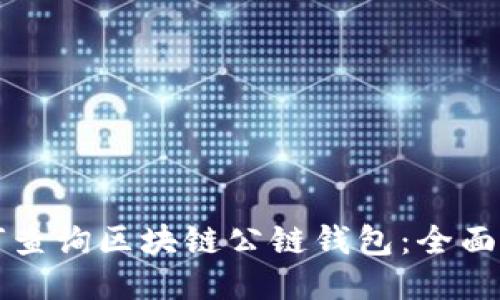 如何查询区块链公链钱包：全面指南
