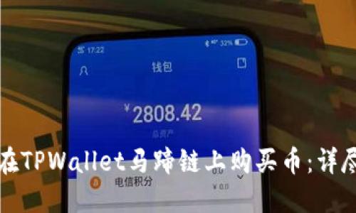 如何在TPWallet马蹄链上购买币：详尽指南
