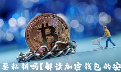 
加密货币钱包需要私钥吗？解读加密钱包的安全性与隐私保护