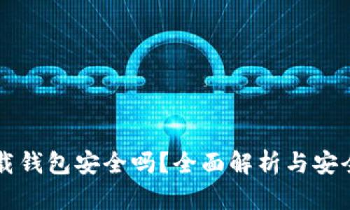 虚拟币下载钱包安全吗？全面解析与安全防护指南