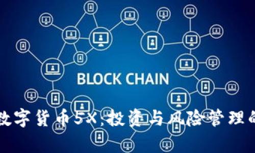 深入解析数字货币5X：投资与风险管理的全面指南