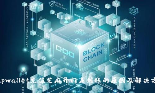 : tpwallet充值芝麻开门未到账的原因及解决方案
