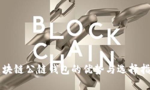 区块链公链钱包的优势与选择指南