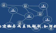 老版本TPWallet的宠物养成系统解析：如何提高你的