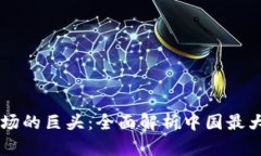 中国比特币交易市场的巨头：全面解析中国最大