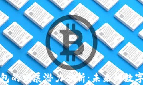 
区块链钱包的发展潜力分析：未来的数字经济先锋