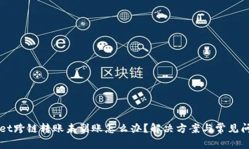 TPWallet跨链转账未到账怎么办?解决方案与常见问题解析