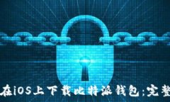   如何在iOS上下载比特派钱包：完整指南