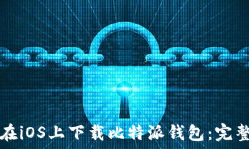   
如何在iOS上下载比特派钱包：完整指南