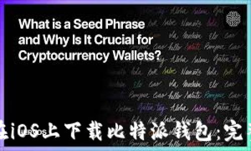   
如何在iOS上下载比特派钱包：完整指南