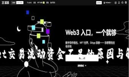 TPWallet交易流动资金不足的原因与解决方案