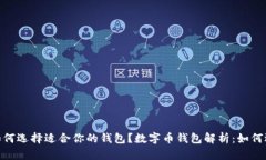 数字币钱包解析：如何选择适合你的钱包？数字