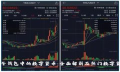 了解电子钱包中的数字货币：全面解析及热门数
