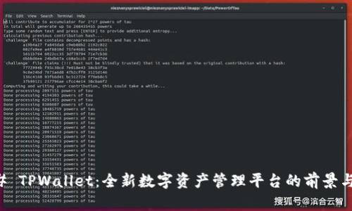 ### TPWallet：全新数字资产管理平台的前景与潜力