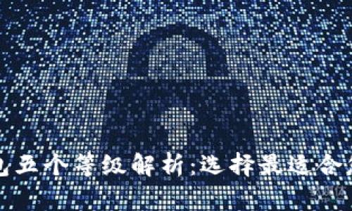 数字货币钱包五个等级解析：选择最适合您的安全级别