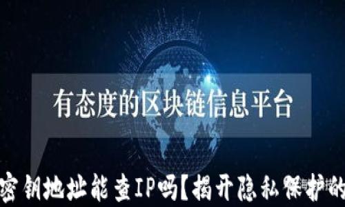 
数字货币密钥地址能查IP吗？揭开隐私保护的神秘面纱