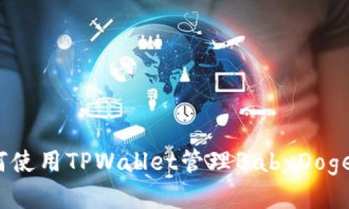 如何使用TPWallet管理BabyDoge币？