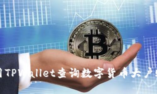如何使用TPWallet查询数字货币大户账户信息