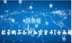 虚拟钱包能否购买各种加密货币？全面解析与指