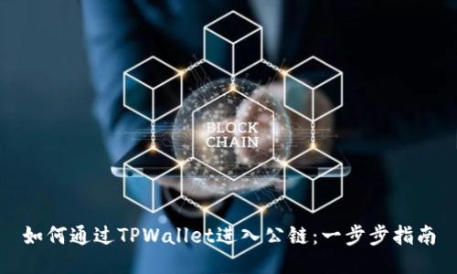 如何通过TPWallet进入公链：一步步指南