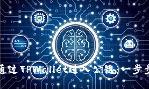 如何通过TPWallet进入公链：一步步指南
