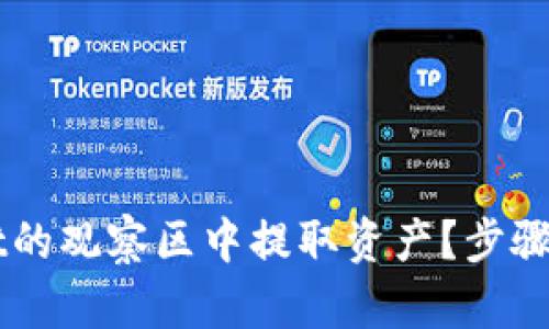 如何从TPWallet的观察区中提取资产？步骤详解与风险提示