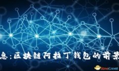 最新消息：区块链阿拉丁钱包的前景与挑战