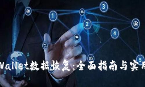 : TPWallet数据恢复：全面指南与实用技巧