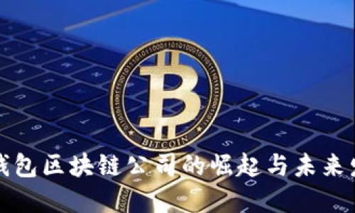 冷钱包区块链公司的崛起与未来发展