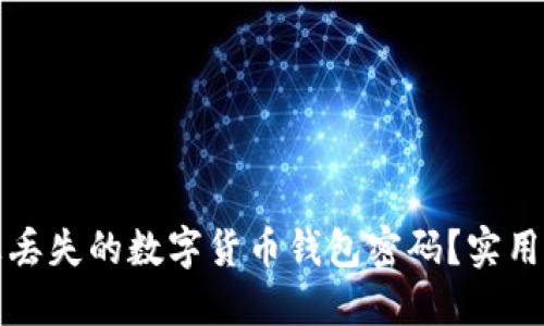如何找回您丢失的数字货币钱包密码？实用攻略与技巧