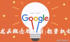 区块链钱包龙头概念股分析：投资机会与未来展