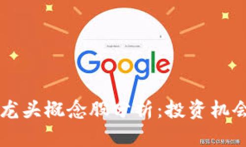 区块链钱包龙头概念股分析：投资机会与未来展望