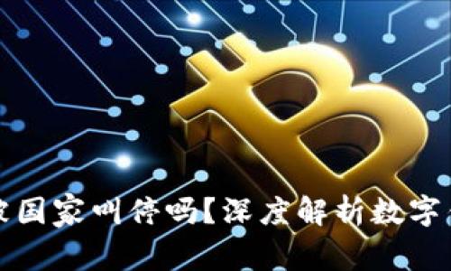 : TPWallet会被国家叫停吗？深度解析数字钱包的未来趋势