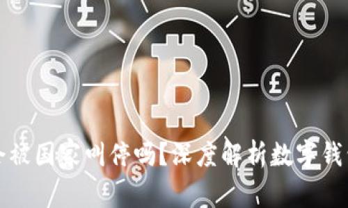 : TPWallet会被国家叫停吗？深度解析数字钱包的未来趋势