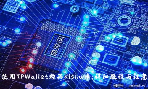如何使用TPWallet购买Kishu币：详细教程与注意事项
