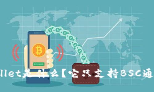 TPWallet是什么？它只支持BSC通道吗？