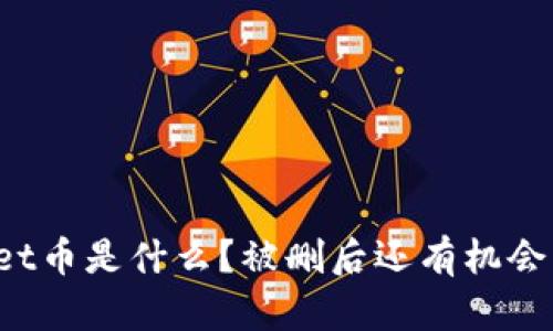 TPWallet币是什么？被删后还有机会复苏吗？