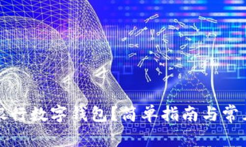 如何查看银行数字钱包？简单指南与常见问题解析