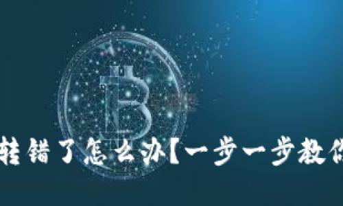 TPWallet转错了怎么办？一步一步教你如何处理