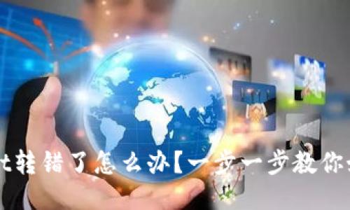 TPWallet转错了怎么办？一步一步教你如何处理