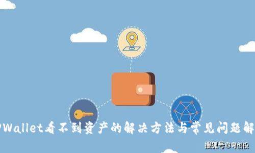 TPWallet看不到资产的解决方法与常见问题解析