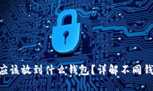 数字货币ECU应该放到什么钱包？详解不同钱包类型及推荐