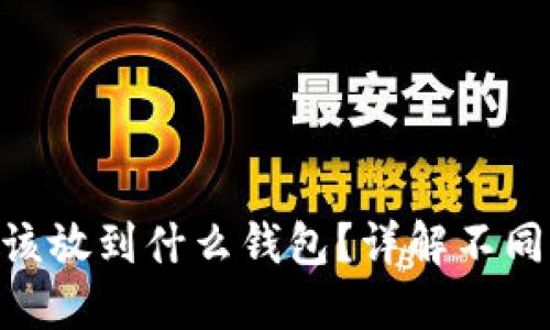 数字货币ECU应该放到什么钱包？详解不同钱包类型及推荐