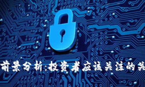波场币前景分析：投资者应该关注的关键因素
