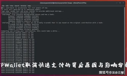 TPWallet取消快速支付的背后原因与影响分析